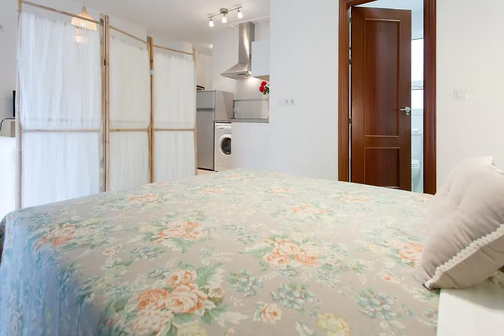 Apartamentos San Lorenzo Seville Apartment